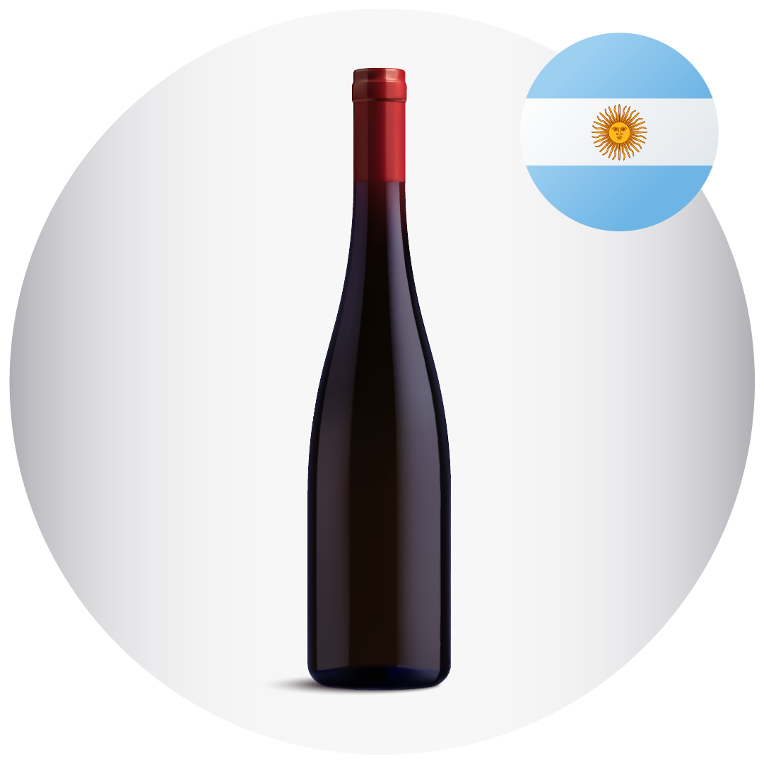 BOTELLA DE VINO DON NICANOR