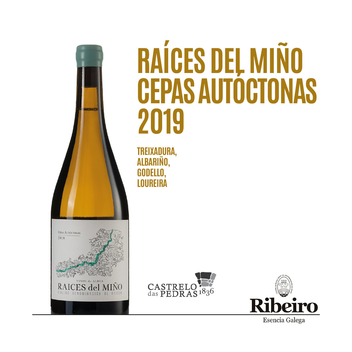 CATA "VINOS DE RIBEIRO" 10.09.25