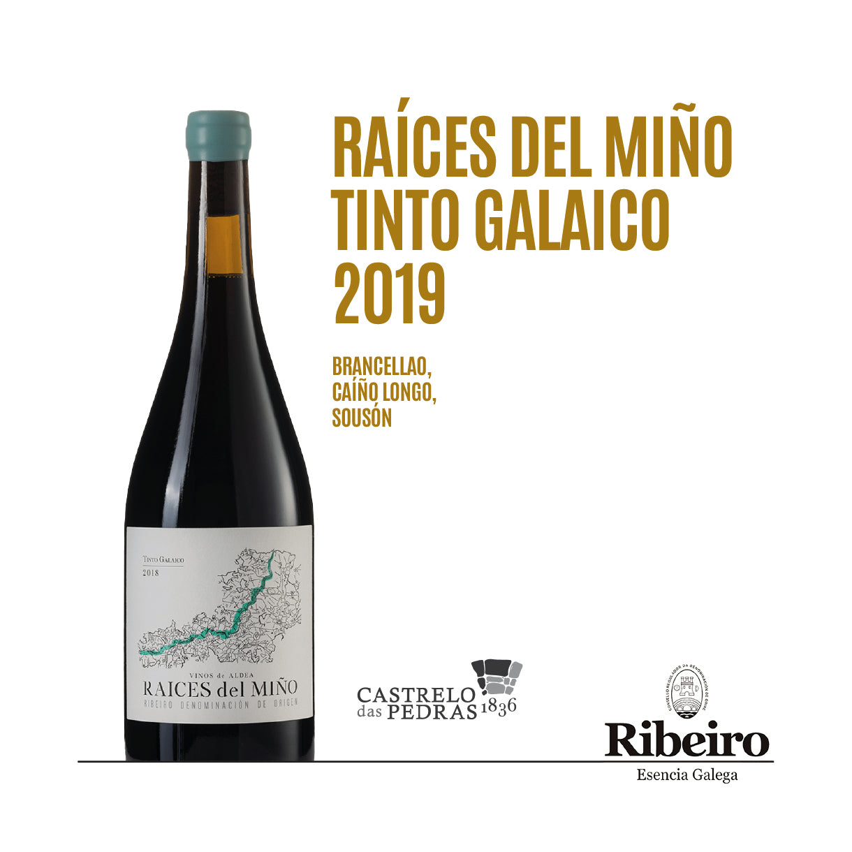 CATA "VINOS DE RIBEIRO" 10.09.25
