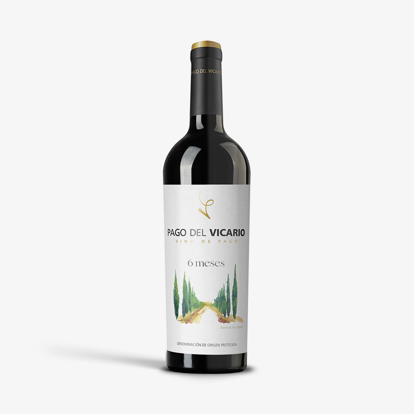 VINO 6 MESES PAGO DE VICARIO