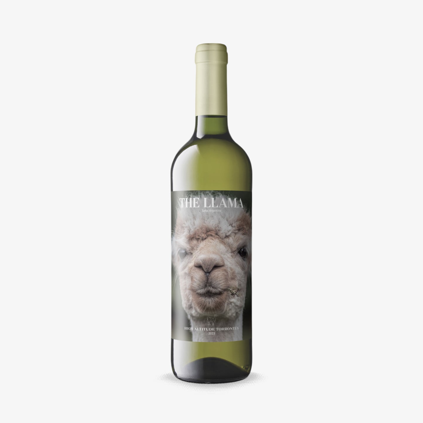 THE LLAMA TORRONTES