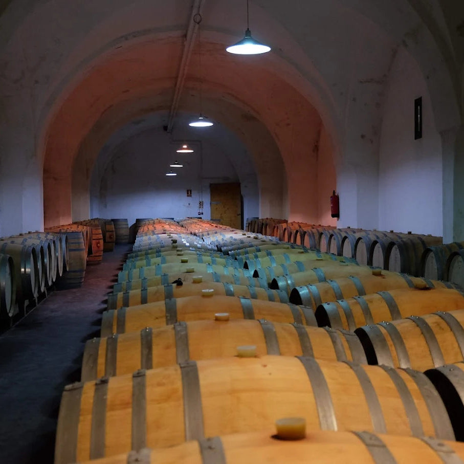 WINE TOUR: LA MEJORADA 26.07.2026