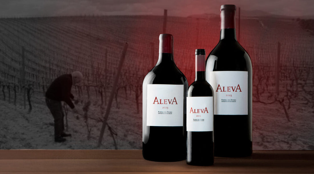 ALEVA. Raíces para seguir creciendo.