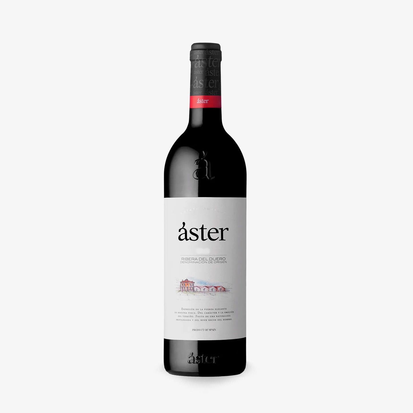 ASTER CRIANZA