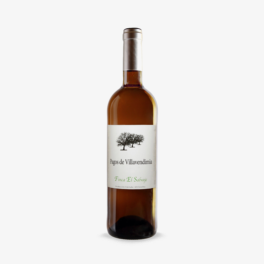 AMARRE SALVAJE 2015