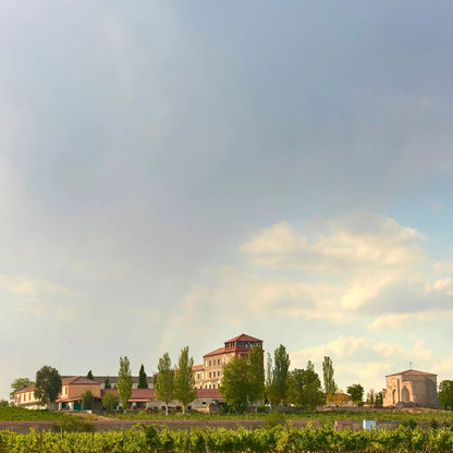 WINE TOUR: LA MEJORADA 26.07.2026